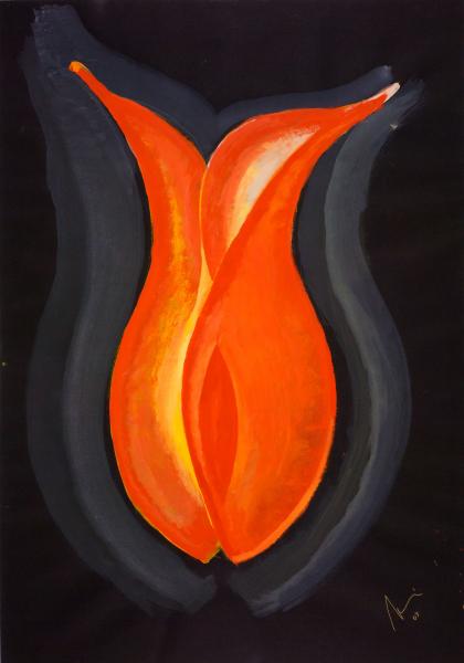 Tulipano, 2009, Gouache on black paper, cm 70 x 100
